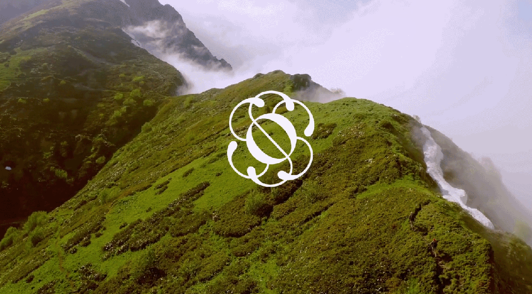 2024平面设计趋势公布，新的合作方式和商业模式