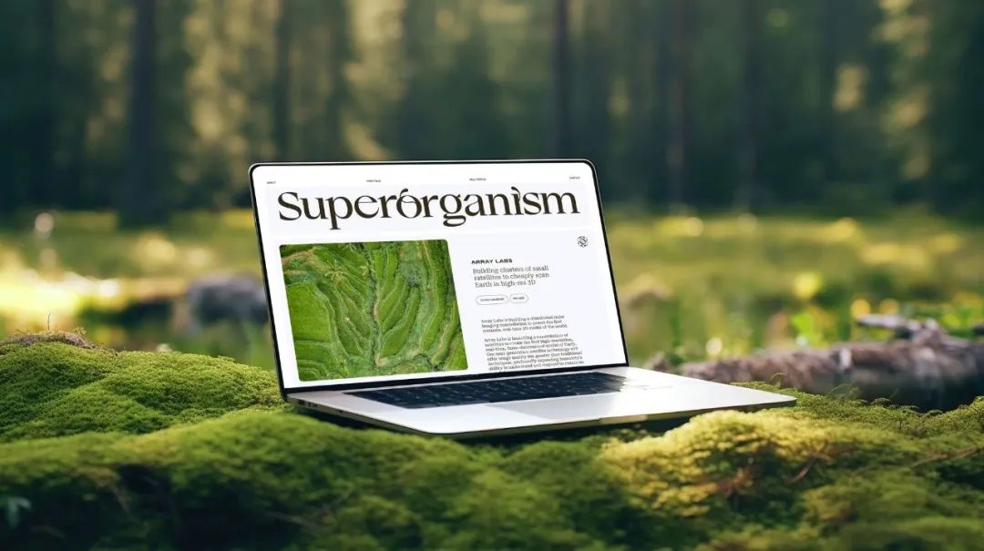 2024平面设计趋势公布，新的合作方式和商业模式