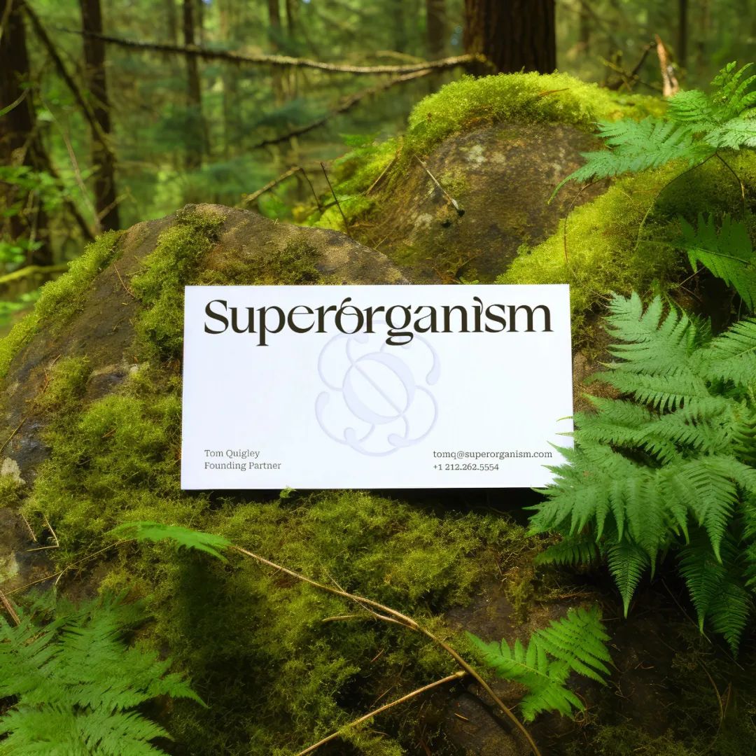 2024平面设计趋势公布，新的合作方式和商业模式